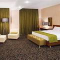 ?¤???‚?????€?°?„???? ???‚?µ?»?? Benefit Plaza Congress Hotel Guest Room